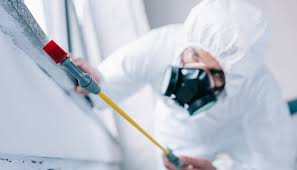 Best Termite Inspection and Treatment  in West York, PA